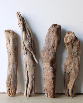 Treibholz Schwemmholz Driftwood  4  knorrige Hölzer Dekoration  Garten Terrarium  38 cm - 50 cm lang **E196**(TR938)