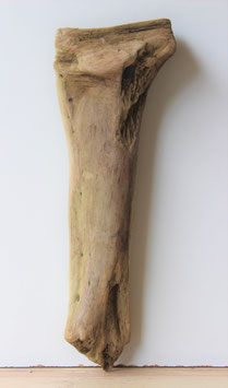 Treibholz Schwemmholz Driftwood 1  Skulptur  46 cm  (S291)