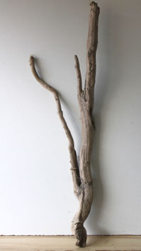 Treibholz Schwemmholz Driftwood  1 MEGA  Wurzel Dekoration Garten Terrarium  118 cm lang (W734)