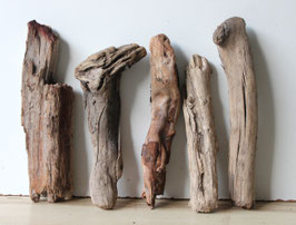 Treibholz Schwemmholz Driftwood 5  Hölzer Dekoration Garten Terrarium  29 cm - 36 cm  **90** (TR1319)