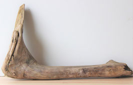 Treibholz Schwemmholz Driftwood  1  XXL Skulptur    72 cm  (XXL214)