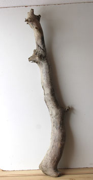 Treibholz Schwemmholz Driftwood  1 MEGA   Stamm Lampe Dekoration Maritim  145 cm (ST433)