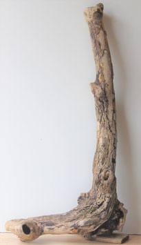 Treibholz Schwemmholz Driftwood  1  XXL Skulptur  Wurzel  99 cm  (XXL212)