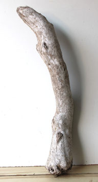 Treibholz Schwemmholz Driftwood  1 XL Stamm Dekoration Garten Terrarium Ostern Lampenbau 86 cm (ST513)