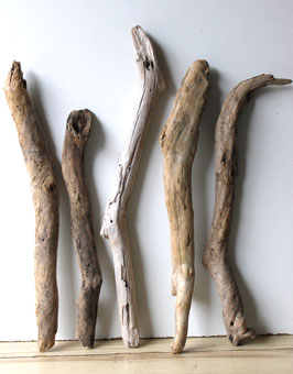 Treibholz Schwemmholz Driftwood  5 XL  Treibhölzer Terrarium Garten  53 cm - 70 cm lang **E173** (TR1190)