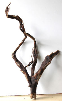Treibholz Schwemmholz Driftwood 1 XL  Wurzel Dekoration Terrarium Garten 73 cm lang (W666)
