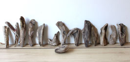 Treibholz Schwemmholz Driftwood  14 kleine Hölzer  Garten Terrarium Dekoration Aquarium 9 cm - 21 cm   (SA755)