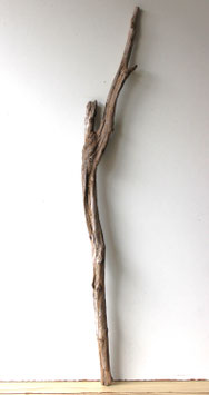 Treibholz Schwemmholz Driftwood 1 XL Ast Dekoration Garten Terrarium 117 cm  (Ä1660)