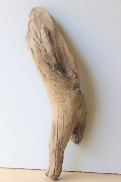 Treibholz Schwemmholz Driftwood 1 XL Rarität  69  cm  (R300)