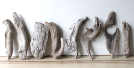 Treibholz Schwemmholz Driftwood 8 Hölzer Dekoration Garten Terrarium 19 cm - 25 cm lang **30** (TR1177)
