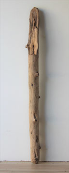 Treibholz Schwemmholz Driftwood 1 Stamm 100 cm lang (ST349)