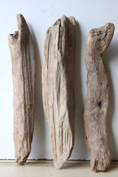 Treibholz Schwemmholz Driftwood 3  Hölzer Dekoration Garten Terrarium 41 cm -47 cm **E2**(TR1126)