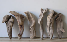 Treibholz Schwemmholz Driftwood  6  Hölzer Dekoration Garten Terrarium 20 cm- 27 cm **56** (TR1329)