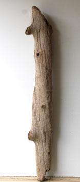 Treibholz Schwemmholz Driftwood 1 MEGA Stamm  Dekoration Garten Terrarium  130 cm (ST492)
