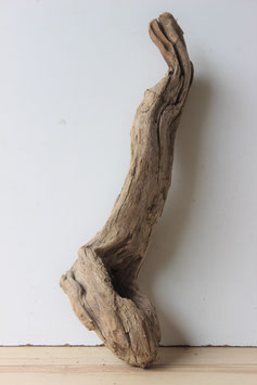 Treibholz Schwemmholz Driftwood  1  knorrige Skulptur   45  cm hoch  (SA408)