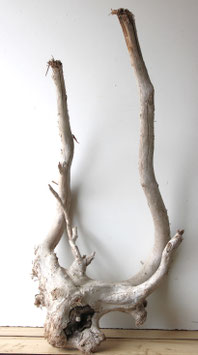Treibholz Schwemmholz Driftwood 1 MEGA Wurzel Dekoration Garten 114 cm (W721)