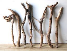 Treibholz Schwemmholz Driftwood 7 Äste  Dekoration Garten Terrarium Garderobe 33 cm - 44 cm (SA906)