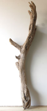 Treibholz Schwemmholz Driftwood 1 MEGA  Wurzel  Dekoration Garten Terrarium 133 cm   (W743)