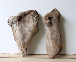 Treibholz Schwemmholz Driftwood 2 knorrige  Hölzer Dekoration Terrarium Garten 28 cm lang  (TR1072)