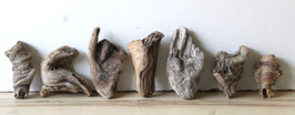 Treibholz Schwemmholz Driftwood 7 kleine Hölzer Dekoration Garten Terrarium 9 cm - 16 cm **69** (TR1334)