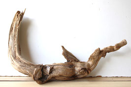 Treibholz Schwemmholz Driftwood 1  Wurzel  Dekoration Terrarium 29 cm hoch  (W625)
