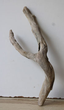 Treibholz Schwemmholz Driftwood 1  Wurzel  Dekoration Garten Terrarium 31 cm hoch  (W742)