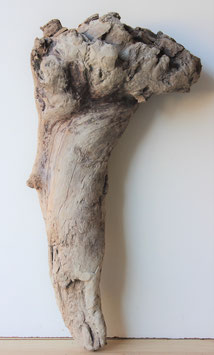 Treibholz Schwemmholz Driftwood  1 XL  Rarität (R245)