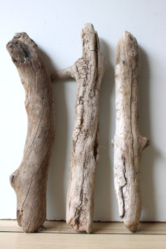 Treibholz Schwemmholz Driftwood 3 knorrige  Hölzer Dekoration Terrarium Garten 46 cm - 47  cm lang  (TR1073)