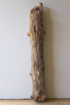 Treibholz Schwemmholz Driftwood 1 Stamm Dekoration Garderobe Terrarium 66 cm (SA918)