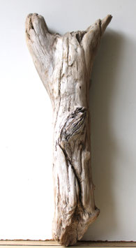 Treibholz Schwemmholz Driftwood 1 knorrige  Wurzel  59  cm (W644)