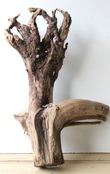 Treibholz Schwemmholz Driftwoood 1 knorrige  XXL  Wurzel Dekoration Terrarium 70 cm (W705)