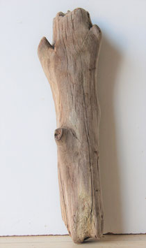 Treibholz Schwemmholz Driftwood  1   Skulptur 35 cm (S281)