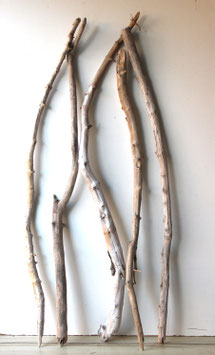 Treibholz Schwemmholz Driftwood  5 MEGA Äste  Dekoration Garten Terrarium 123 cm - 139 cm (Ä1671)