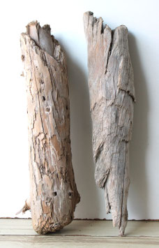 Treibholz Schwemmholz Driftwood 2 knorrige  Hölzer Garten Terrarium Dekoration Garten 41-45 cm **E196** (TR1225)
