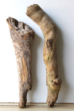 Treibholz Schwemmholz Driftwood  2 knorrige  Hölzer Dekoration Garten Terrarium 49-58 cm (TR1119)