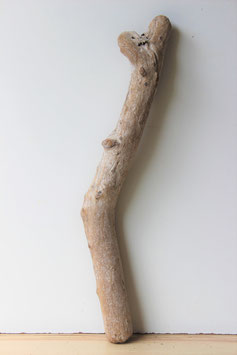 Treibholz Schwemmholz Driftwood  1 XL   Stamm  Dekoration  67 cm (ST370)