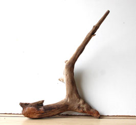 Treibholz Schwemmholz Driftwood 1 Wurzel  Terrarium Dekoration Garten 36  cm  hoch (SA798 )
