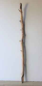 Treibholz Schwemmholz Driftwood  1 XXL Ast   137  cm lang (Ä1371)