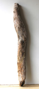 Treibholz Schwemmholz Driftwood 1 XXL Stamm  Dekoration Garten Terrarium  106 cm (ST486)