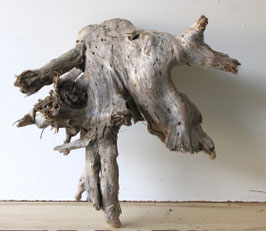 Treibholz Schwemmholz Driftwood  1 knorrige XXL  Wurzel Dekoration Garten Terrarium  51 cm lang (W736)