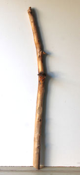 Treibholz Schwemmholz Driftwood  1 MEGA Garderobe Dekoration Garten  139 cm  (Ä1677)