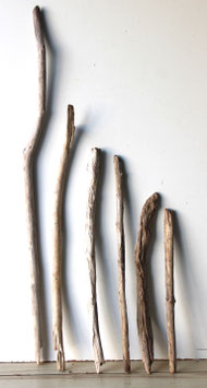 Treibholz Schwemmholz Driftwood  6 Äste  Garderobe Dekoration Garten 49 cm -112 cm    (Ä1684)