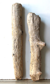Treibholz Schwemmholz Driftwood  2 Hölzer Garten Dekoration Terrarium 43 cm - 51  cm (SA842)