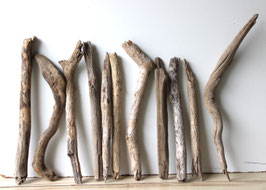 Treibholz Schwemmholz Driftwood 11 Äste  Dekoration Garten Terrarium 39 cm - 52 cm  (Ä1663)