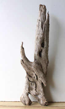 Treibholz Schwemmholz Driftwood  1 knorrige   Wurzel  Dekoration Garten Terrarium  65 cm (W688)