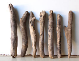 Treibholz Schwemmholz Driftwood 7 Ästchen   Dekoration  26 cm - 33  cm   (SA859)