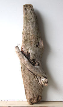 Treibholz Schwemmholz Driftwood  1 knorrige  XL Skulptur  Terrarium Garten Dekoration Terrarium  62 cm  (SA882)