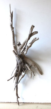 Treibholz Schwemmholz Driftwood  1 XXL  Wurzel Dekoration Garten Terrarium  83 cm lang (W732)