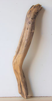 Treibholz Schwemmholz Driftwood 1   Skulptur  56 cm  (S270)
