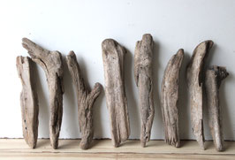 Treibholz Schwemmholz Driftwood 8  Hölzer Dekoration Terrarium Ostern 24 cm - 32 cm  **43**(TR1256)